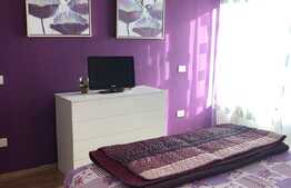 Casa individuala 180 mp, gradina 100 mp, zona strazii Corneliu Coposu