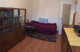 Oportunitate! Apartament 2 camere, 46 mp, Central, De vanzare