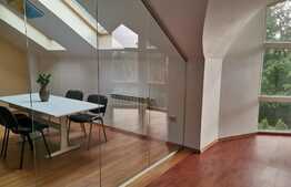 Birouri de lux, 125 mp, la etajul 2 al unei vile in zona centrala