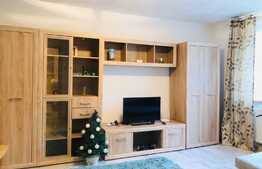 Apartament 1 camera, modern, 40mp, Grigorescu, zona strazii Alexandru Vlahuta