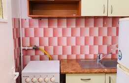 Garsoniera 21 mp, mobilata, zona Mercur