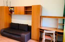 Garsoniera 21 mp, mobilata, zona Mercur