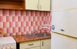 Garsoniera 21 mp, mobilata, zona Mercur