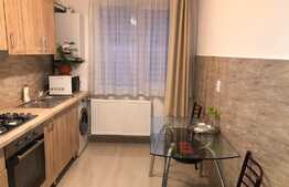 Apartament cu 2 camere, 50 mp, modern, parcare, zona P-ta Mihai Viteazu