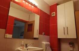 Apartament 3 camere, pet friendly, 2 locuri de parcare, AC, zona Florilor!