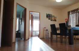 Apartament 3 camere, pet friendly, 2 locuri de parcare, AC, zona Florilor!