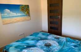 Daca esti in cautarea unei locuinte spatioase, avem oferta ideala!