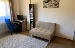 Daca esti in cautarea unei locuinte spatioase, avem oferta ideala!