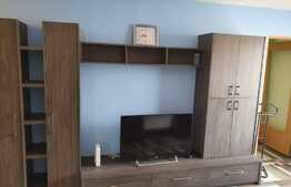 Apartament 2 camere, 45 mp, pet friendly, parcare, zona strazii Negoiu