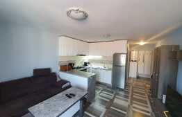 Apartament 2 camere, 45 mp, pet friendly, parcare, zona strazii Negoiu