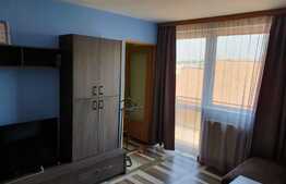 Apartament 2 camere, 45 mp, pet friendly, parcare, zona strazii Negoiu