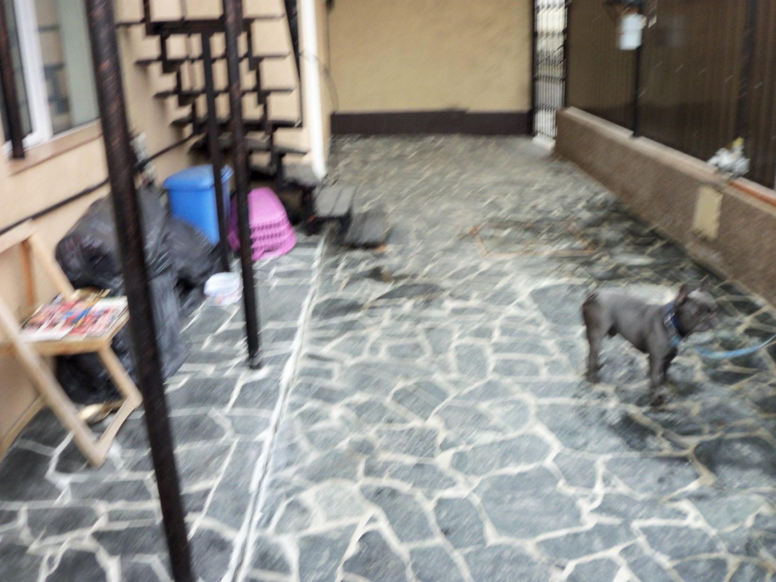 Casa de vânzare 4 camere Someseni - 47632CV | BLITZ Cluj-Napoca | Poza11