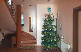 Oportunitate! Casa finisata, la cheie, 2 garaje, piscina, orientare sudica, panorama,240 mp utili, 900 mp teren!