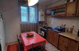 Apartament modern, compartimentare optima, Zona Terra