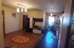 Acces facil catre oras, parcare, 2 balcoane, zona Florilor