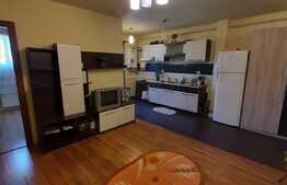 Acces facil catre oras, parcare, 2 balcoane, zona Florilor