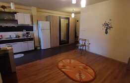 Acces facil catre oras, parcare, 2 balcoane, zona Florilor