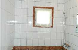 Apartament 2 camere, decomandat, zona Plopilor, renovat