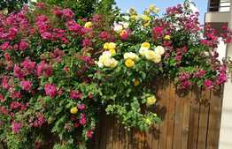 Duplex de 90 mp utli, teren de 360 mp! Zona linistita de case, Gilau!