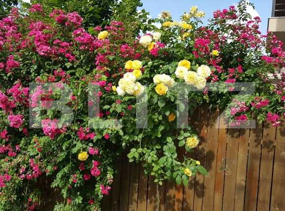 Casa de vânzare 3 camere Exterior Vest - 47746CV | BLITZ Cluj-Napoca | Poza14