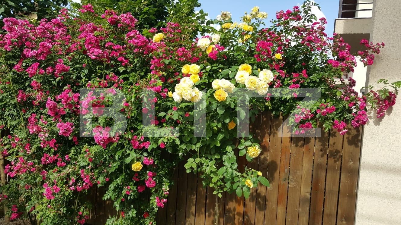 Casa de vânzare 3 camere Exterior Vest - 47746CV | BLITZ Cluj-Napoca | Poza14