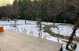 Casa individuala de 254 mp, teren de 350 mp! Zona Terra