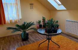 Casa individuala de 254 mp, teren de 350 mp! Zona Terra