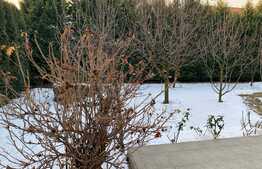 Casa individuala de 254 mp, teren de 350 mp! Zona Terra