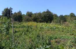 Casa de vanzare 160 mp, teren de cca. 2400 mp in zona rezidentiala