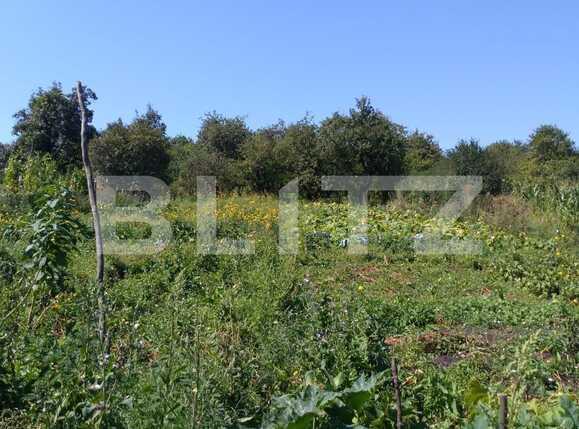 Casa de vânzare 4 camere Exterior Nord - 47778CV | BLITZ Cluj-Napoca | Poza3