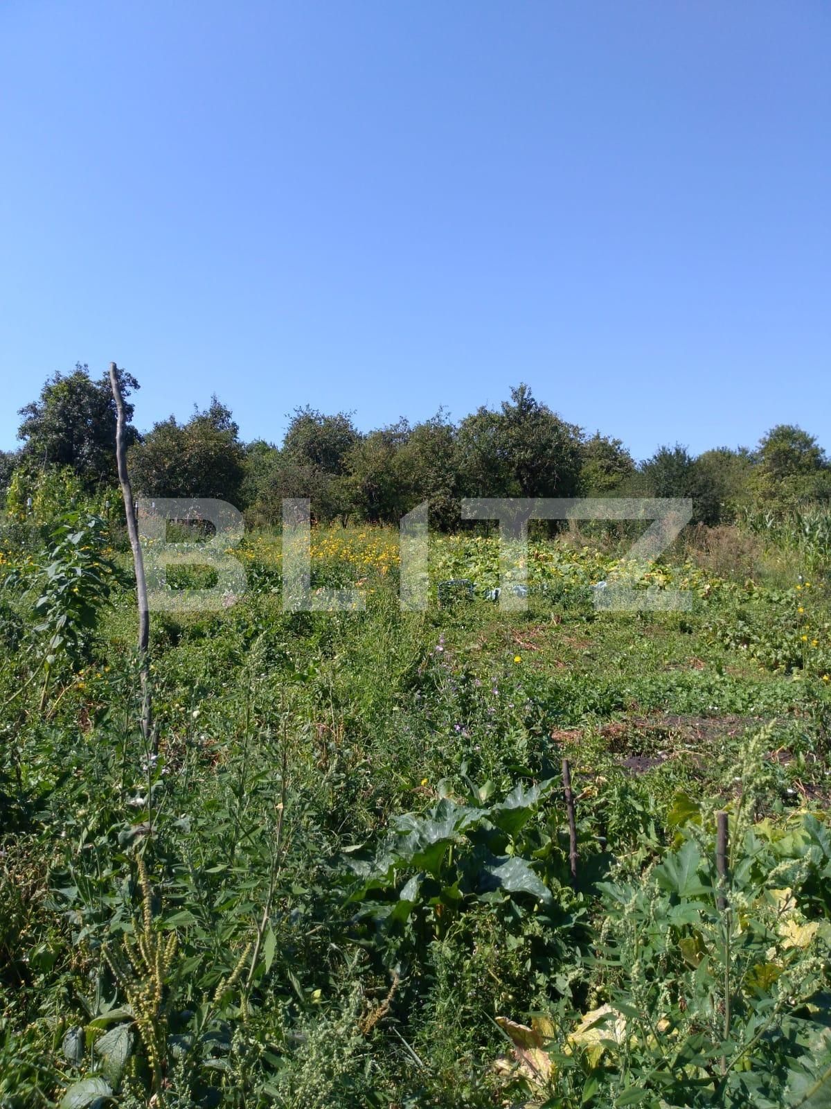 Casa de vânzare 4 camere Exterior Nord - 47778CV | BLITZ Cluj-Napoca | Poza3