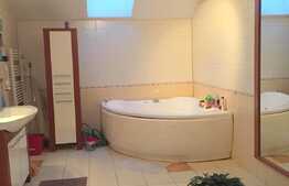 Penthouse pe 2 nivele, 226 mp, finisat, mobilat, parcare, zona Mircea Eliade