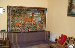 Vanzare apartament 1 camera pe strada Ciobanului, Manastur