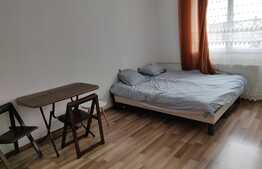 Garsoniera spatioasa in zona linistita, 20 mp, zona Expo Transilvania