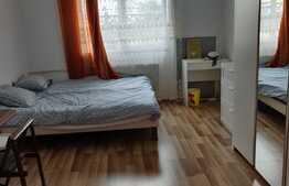 Garsoniera spatioasa in zona linistita, 20 mp, zona Expo Transilvania