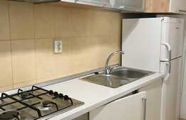 Apartament 1 camera, parcare, Calea Turzii! Pet friendly