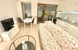 2 camere, 40 mp, parcare, mobilat modern, zona strazii Romul Ladea