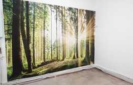 Spatiu de servicii, 55mp, Ultracentral, zona Memorandumului