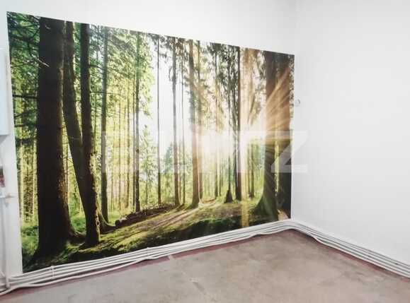 Spațiu comercial de închiriat Central - 47827SIC | BLITZ Cluj-Napoca | Poza5