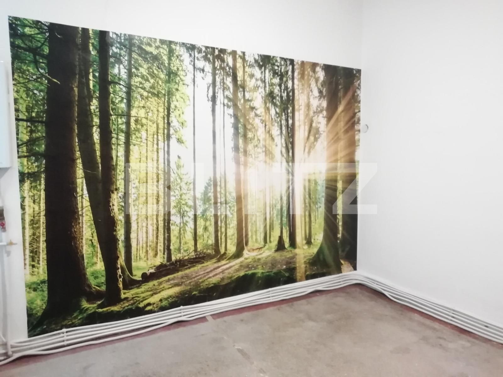 Spațiu comercial de închiriat Central - 47827SIC | BLITZ Cluj-Napoca | Poza5