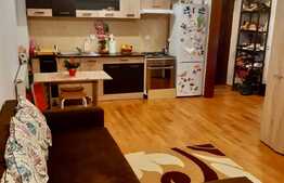 Pret oportun, confortabil, etaj intermediar, zona Porii