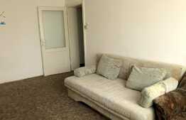 Apartament 1 camera cu suprafata generoasa, zona Facultatii de Litere!