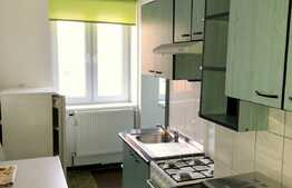 Apartament 1 camera cu suprafata generoasa, zona Facultatii de Litere!