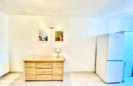 Garsoniera, 40 mp, mobilat modern, zona Profi