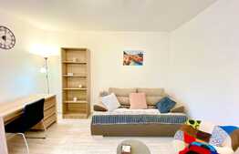 Garsoniera, 40 mp, mobilat modern, zona Profi