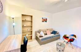 Garsoniera, 40 mp, mobilat modern, zona Profi