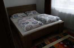 Apartament 2 camere, 50 mp, mobilat modern, zona Interservisan