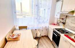 Apartament 2 camere, 48 mp, zona Piata 1 Mai