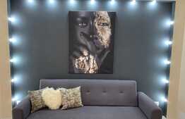 Apartament 2 camere, terasa, zona P-ta M. Viteazu