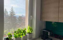 Apartament luminos, finisat atent si dotat complet, zona hotel Premier